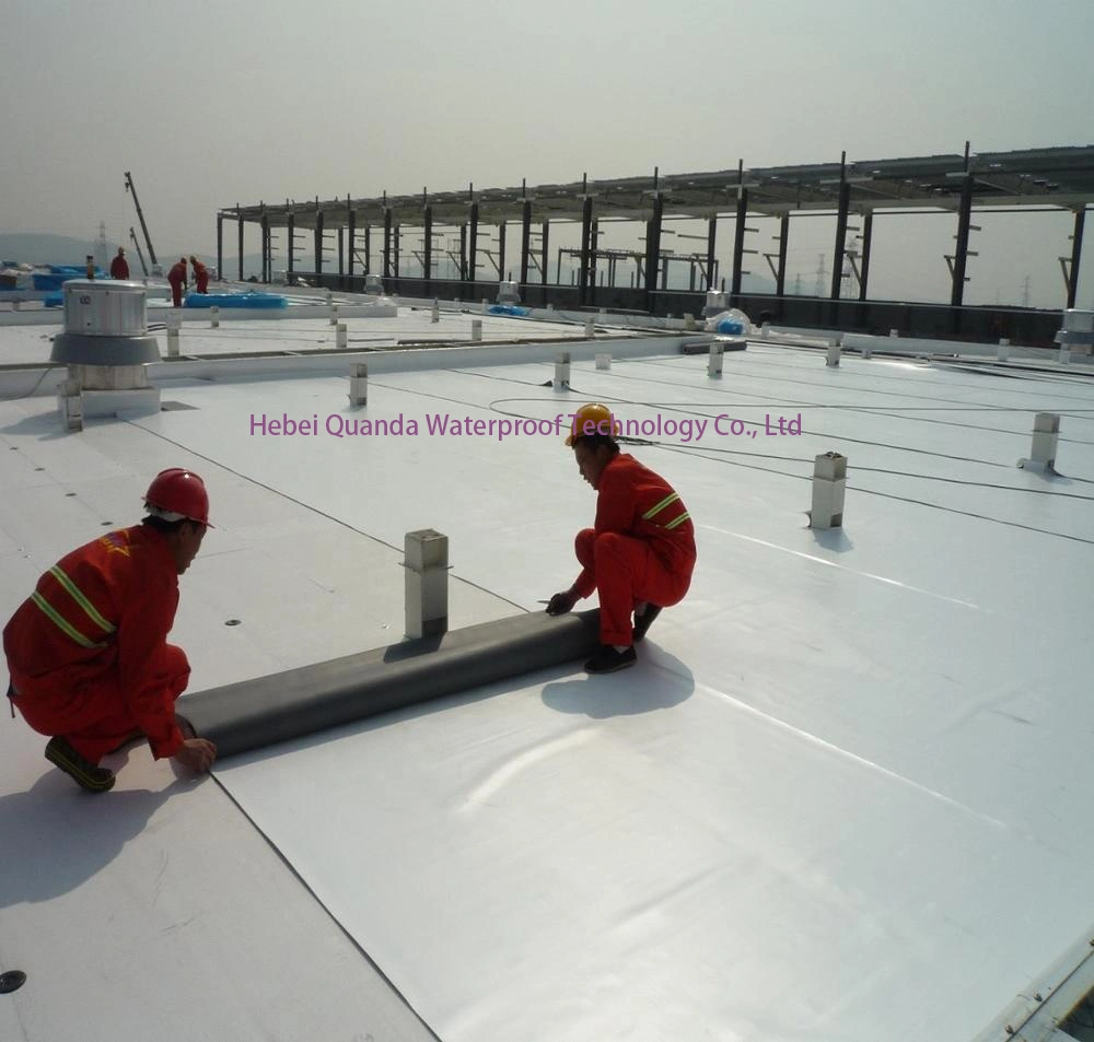 Roofing PVC Polyvinyl Chloride Waterproofing Membrane Sheet Polyester Reinforced